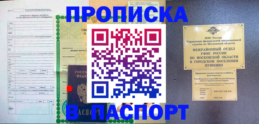 временная регистрация госуслуги в Амурской области